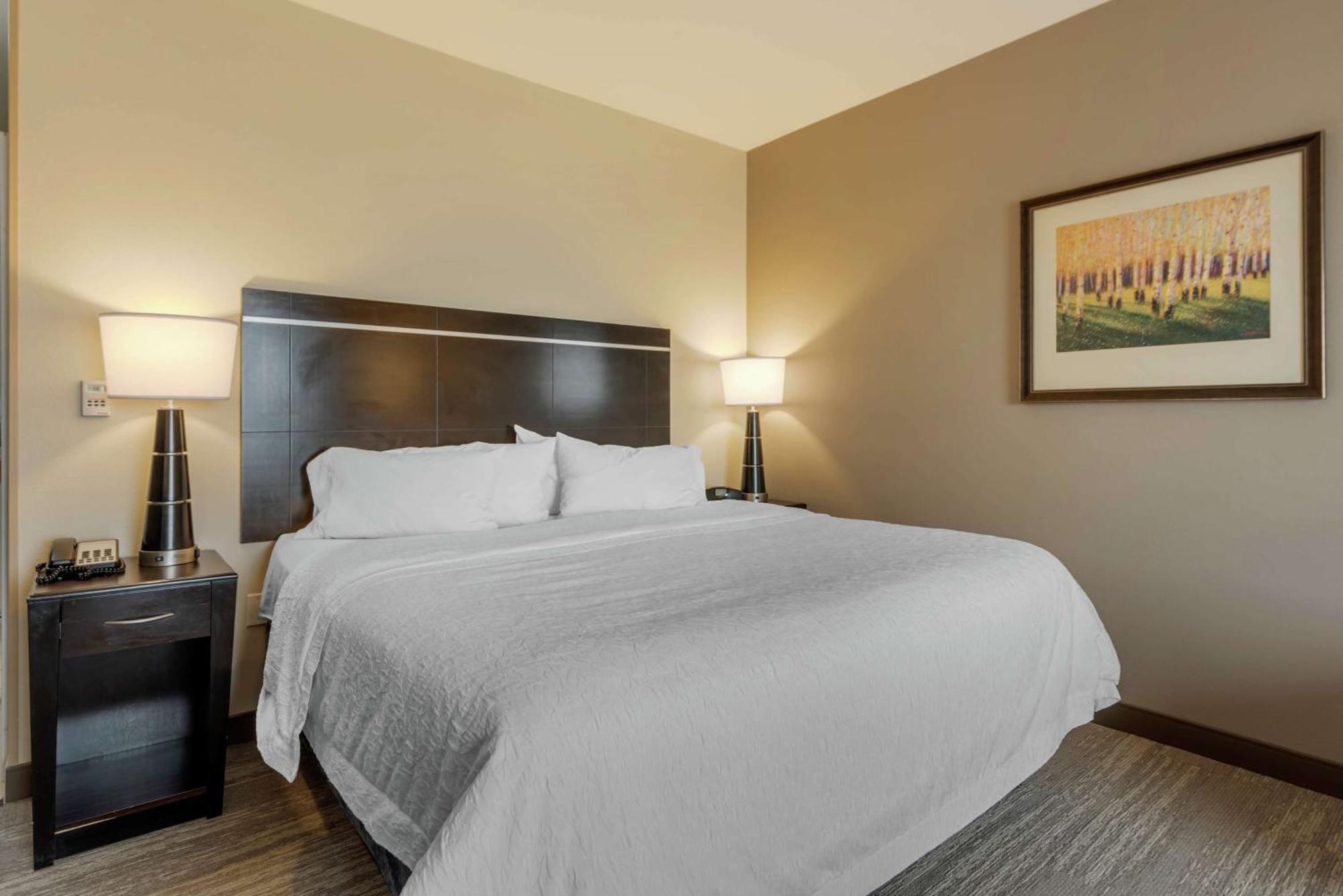 Hampton Inn Alamosa Exteriör bild