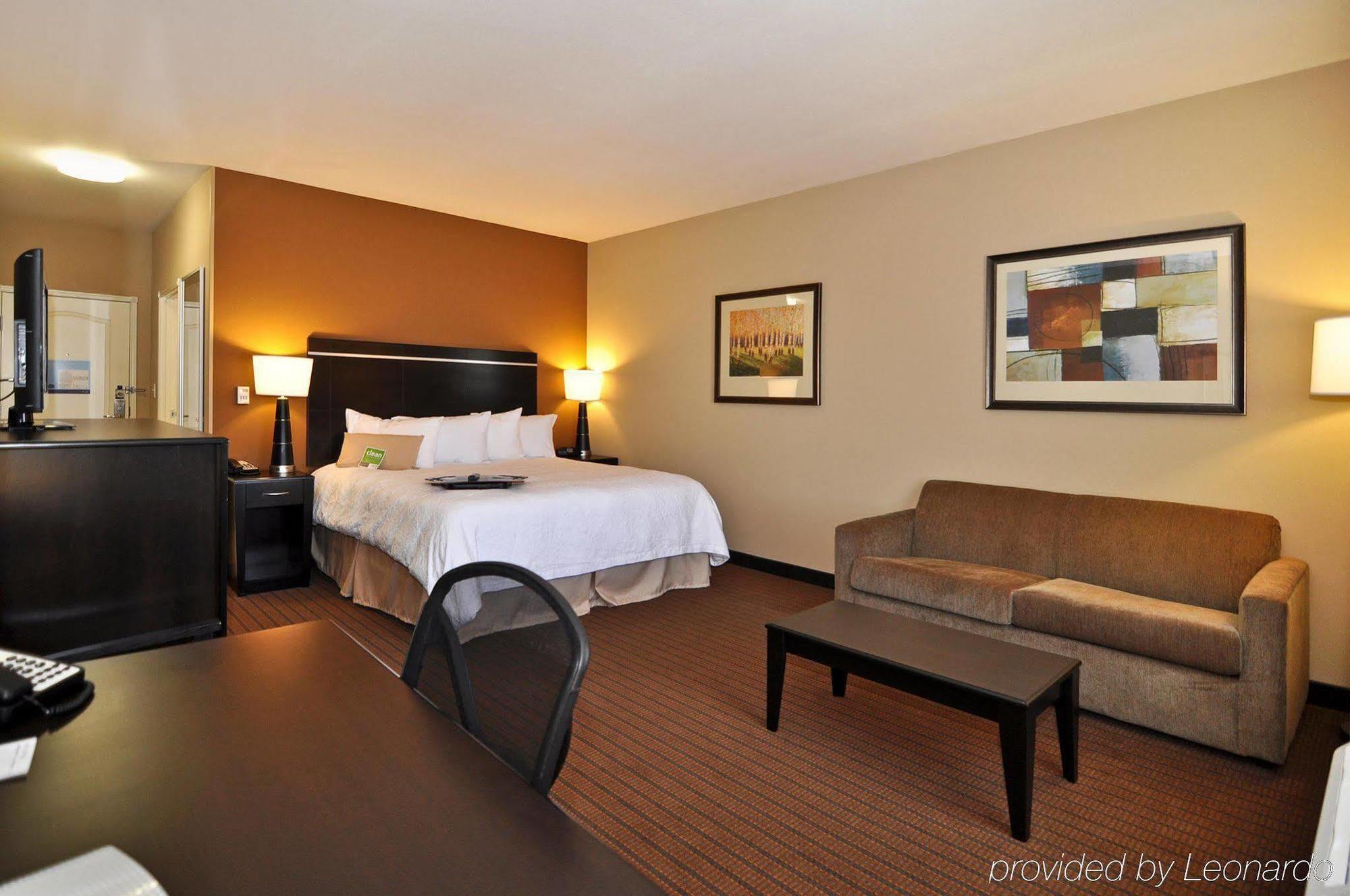 Hampton Inn Alamosa Rum bild
