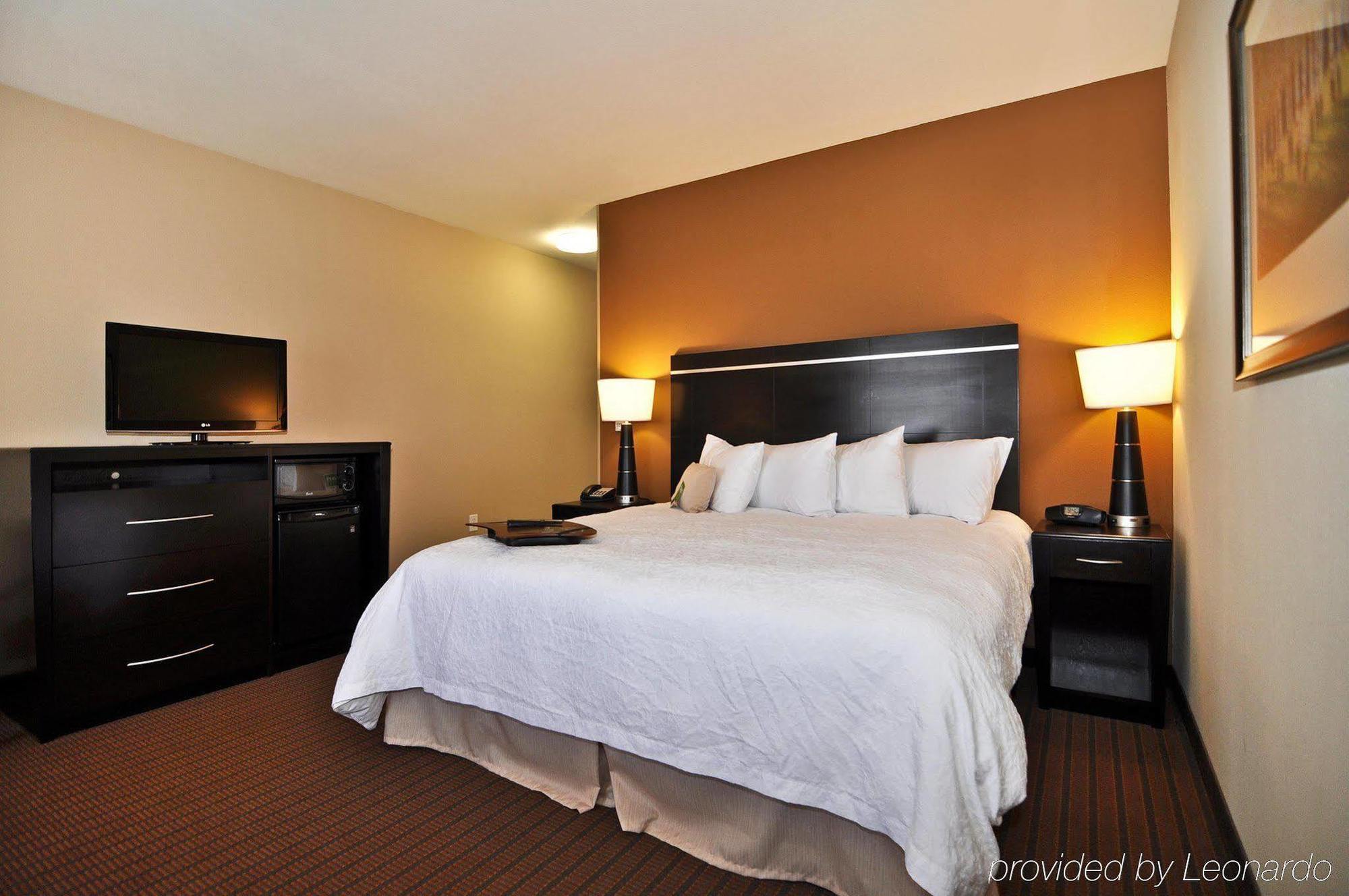 Hampton Inn Alamosa Rum bild